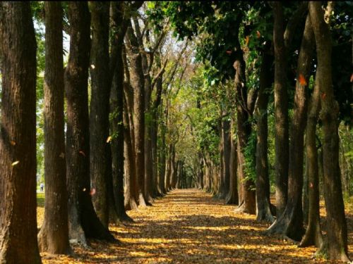 沈文程領路邀民眾踏訪六龜山林風光與文化底蘊